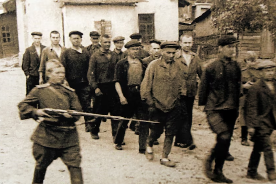 Bolsoleite 🥛 tweet media