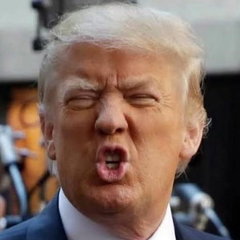 DonkConnects ♻️™ tweet media