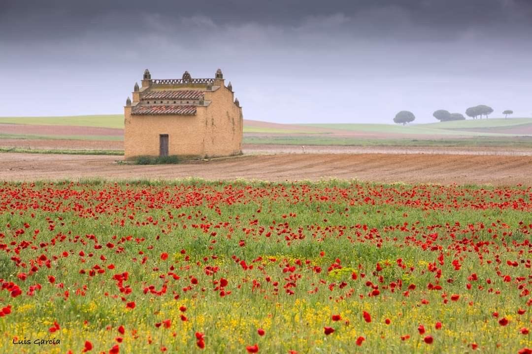 Magical Spain tweet media