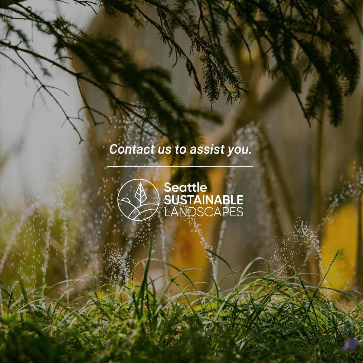 Seattle Sustainable Landscapes tweet media