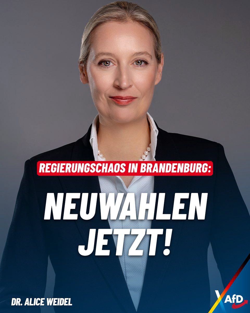 Maria Maier🇩🇪 tweet media