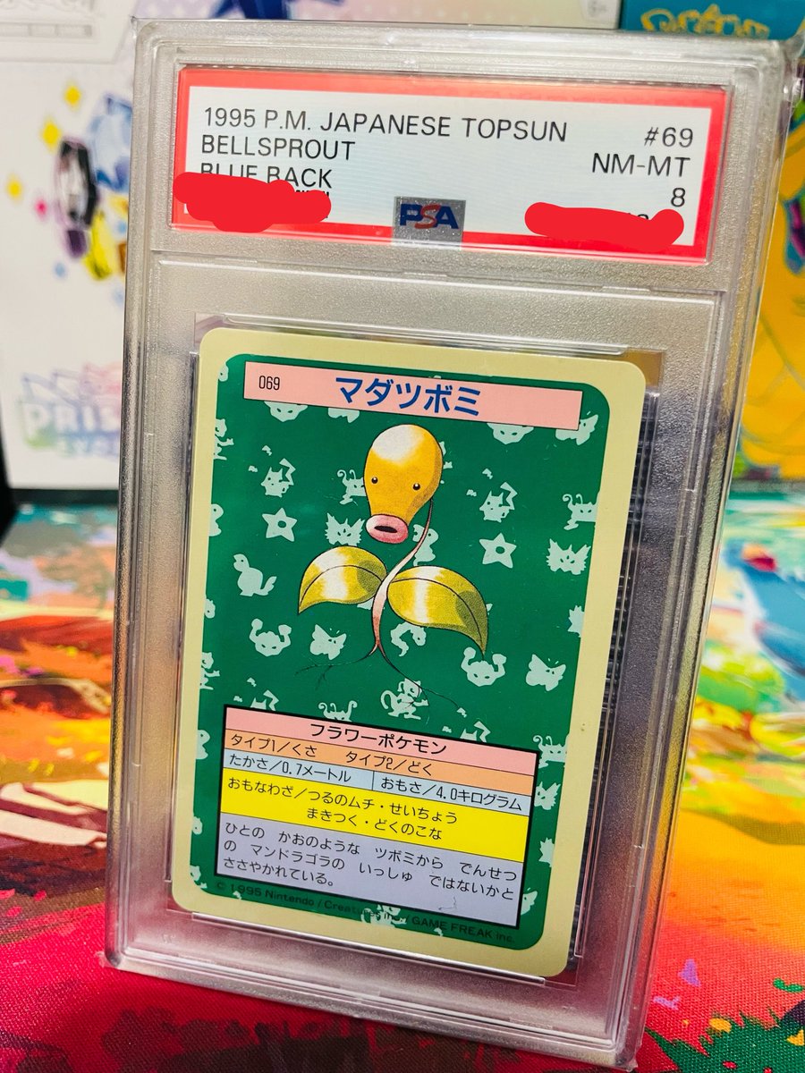 Bellsprout Boss tweet media