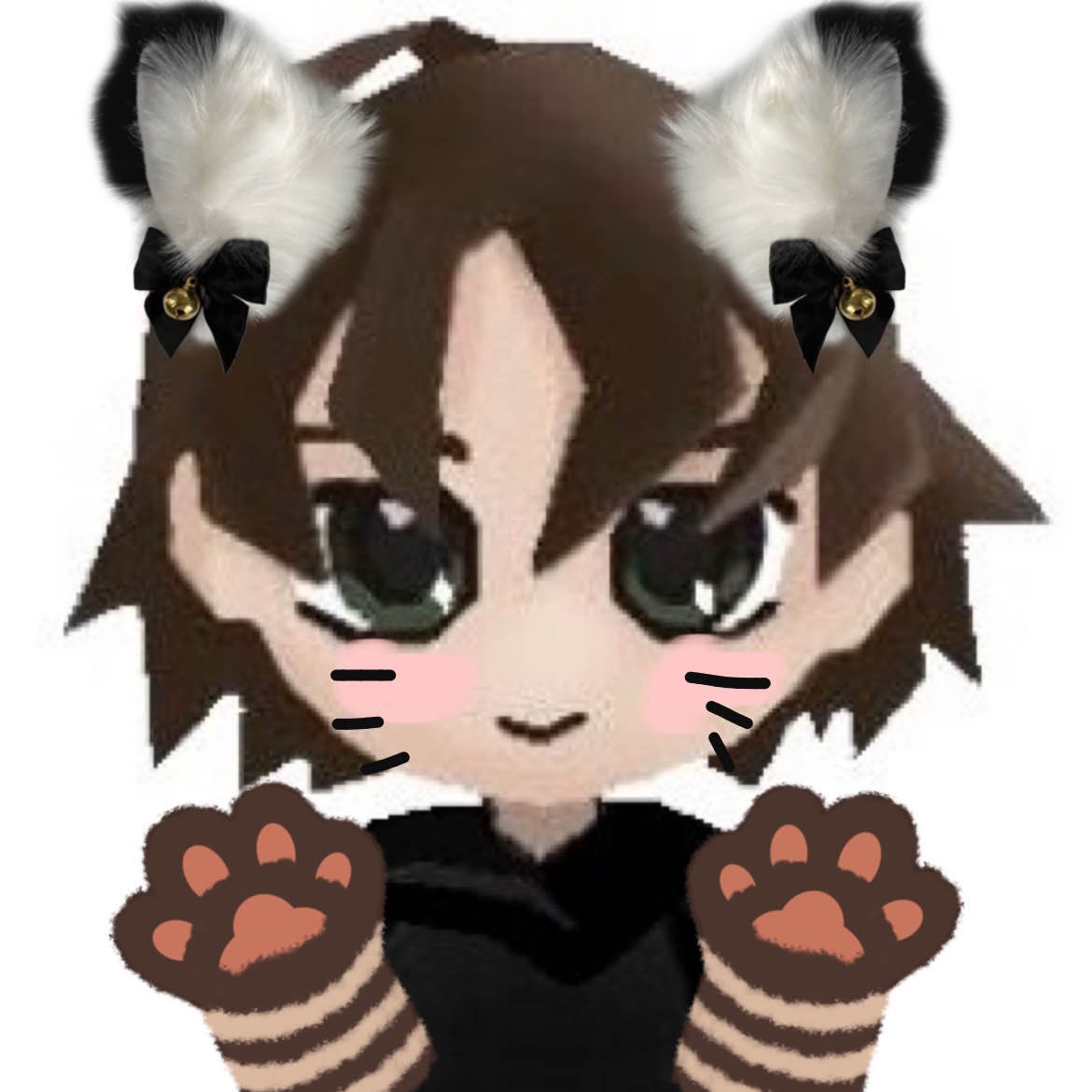 10x radbro 🎃🏴☠️ tweet media