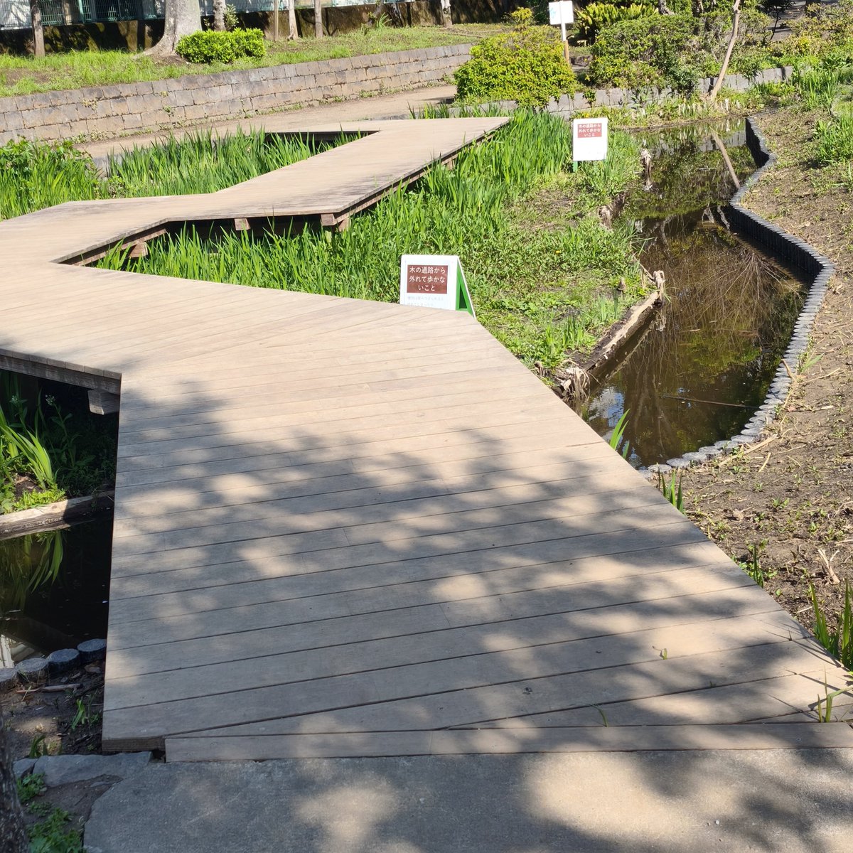 gohyakujuni's tweet photo. 錦糸町の公園
こういう散歩道癒される🙂‍↕️
#写真 #写真2026 https://t.co/kqHSV1Iskn