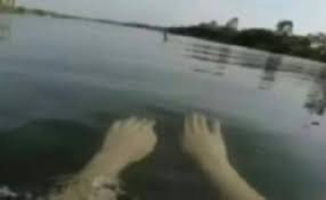 지옥에서 뚜벅뚜벅 기어나온 루루 tweet media