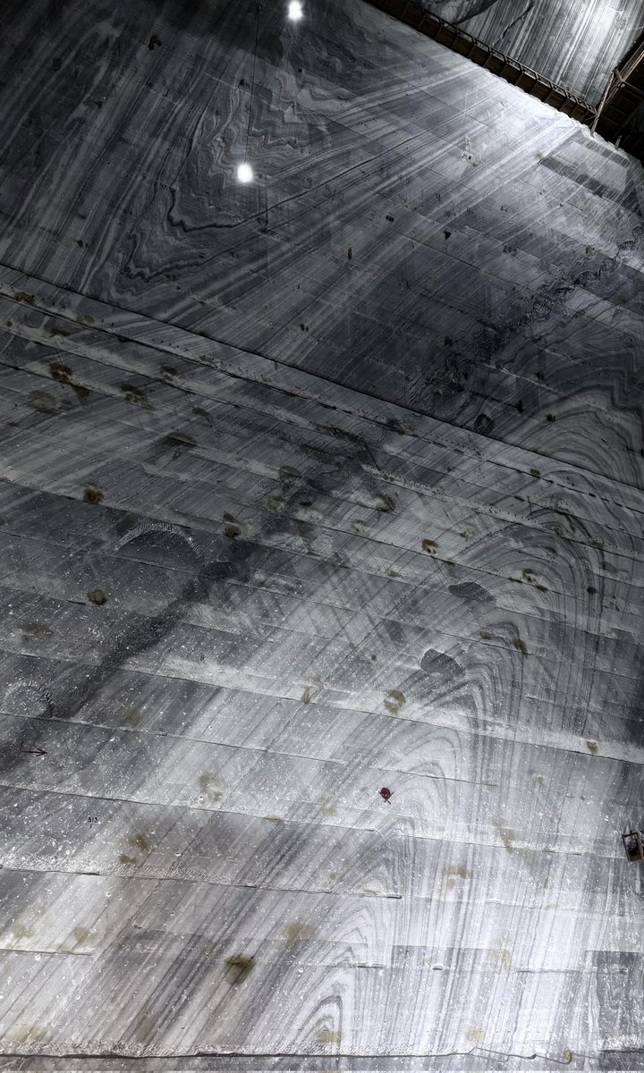 Synapse+ tweet media