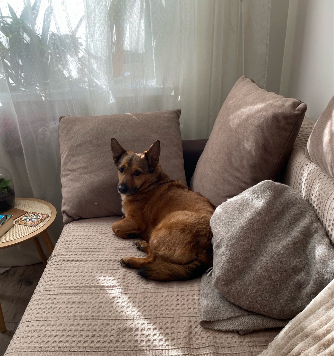 Poki-san 🏴‍☠️ tweet media