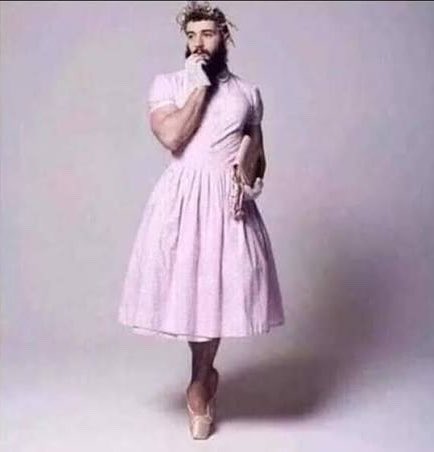 فيل🐘 tweet media