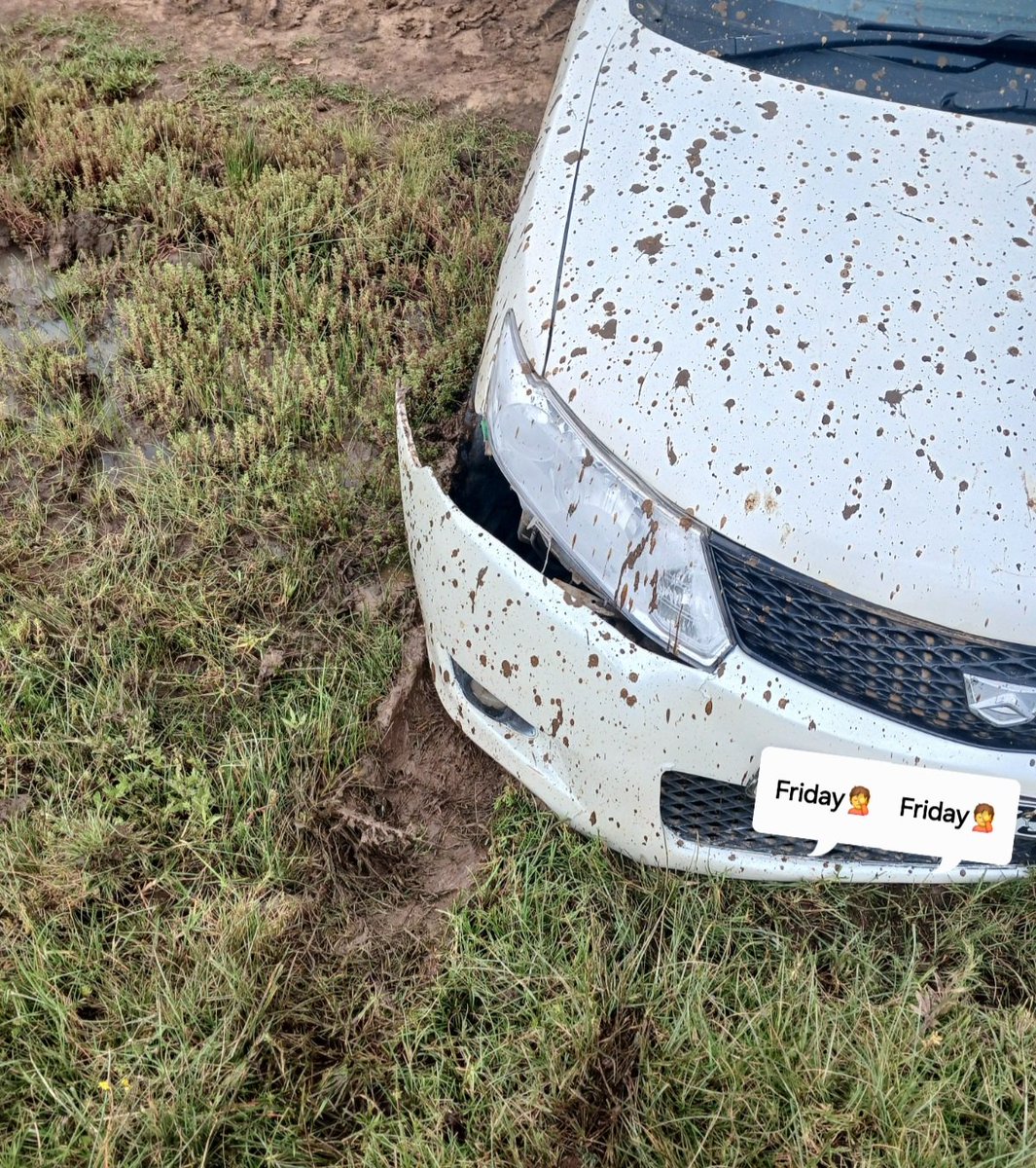 GREAT-NESS tweet media