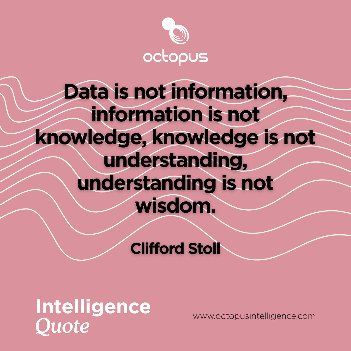 Octopus Intelligence tweet media