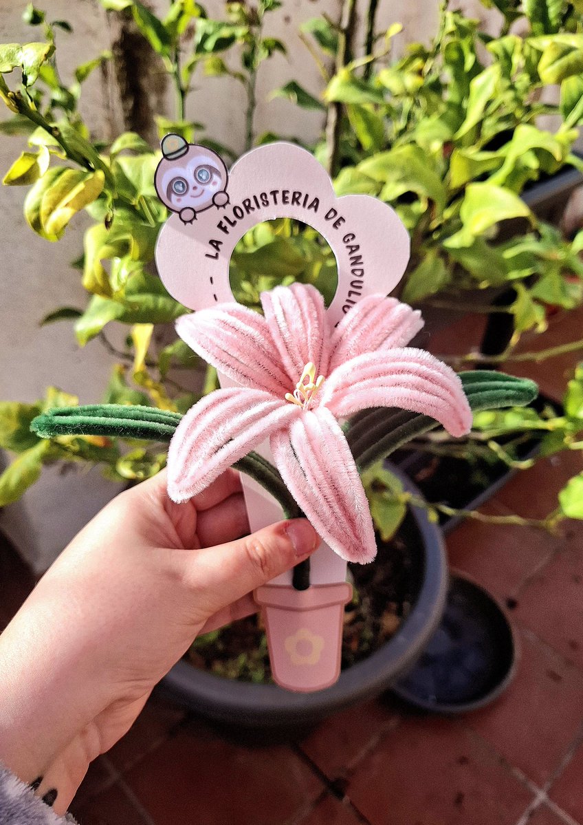 Ursi 🩷 tweet media