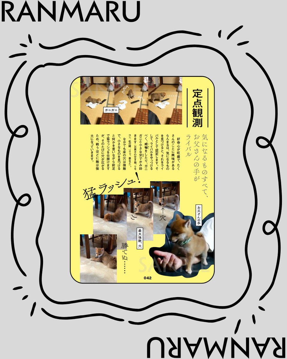 WANI BOOKOUT（ワニブックス） tweet media