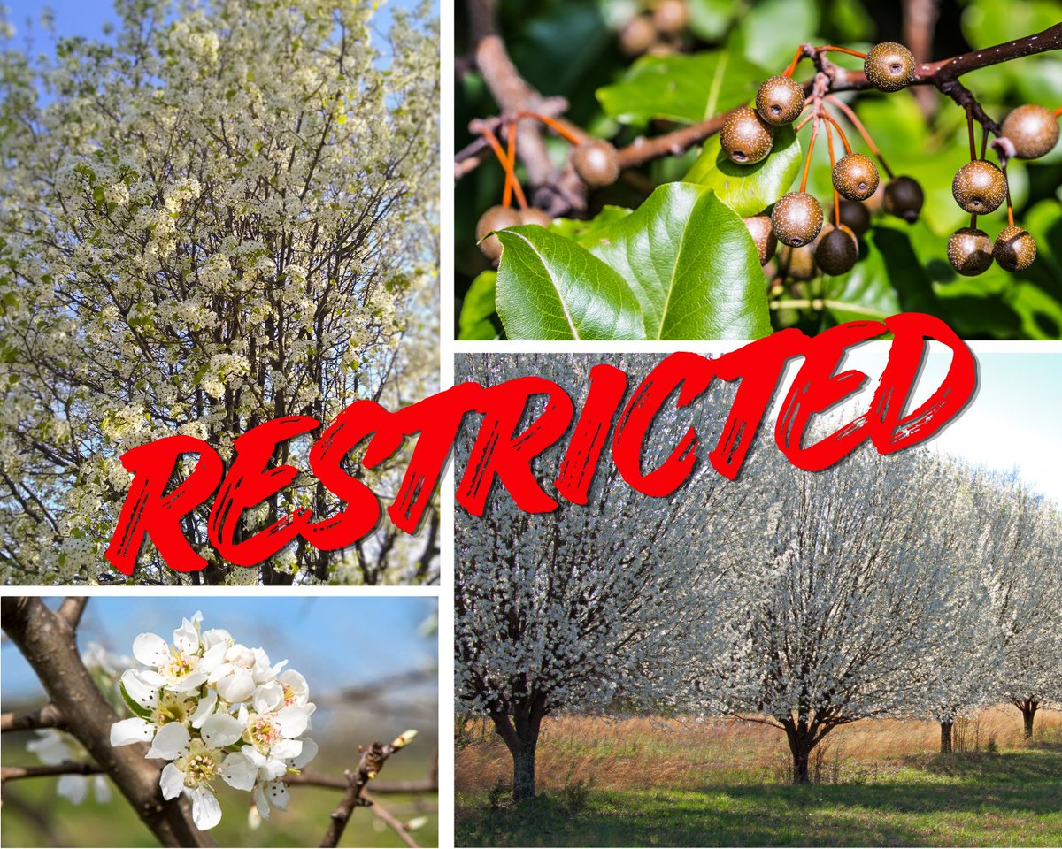 Maryland DNR tweet media