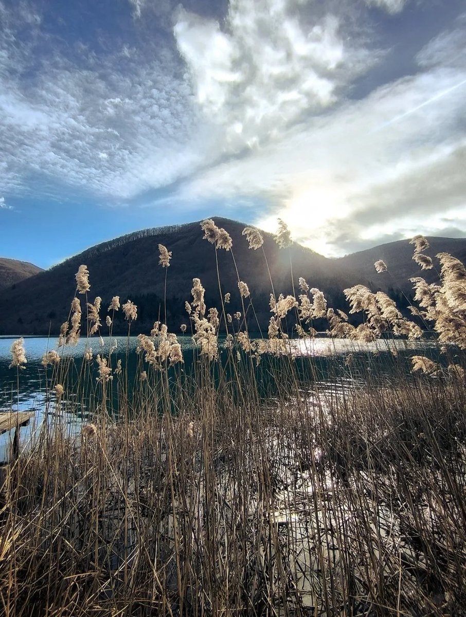 🕷️🕸️🃏Fabiana🃏🕸️🕷️ tweet media