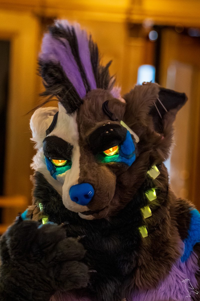 💀 Level 🔥🔜 Anthrocon tweet media
