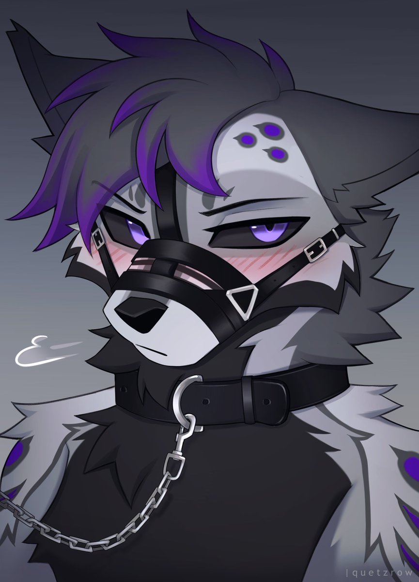 quetz ⛓️ tweet media