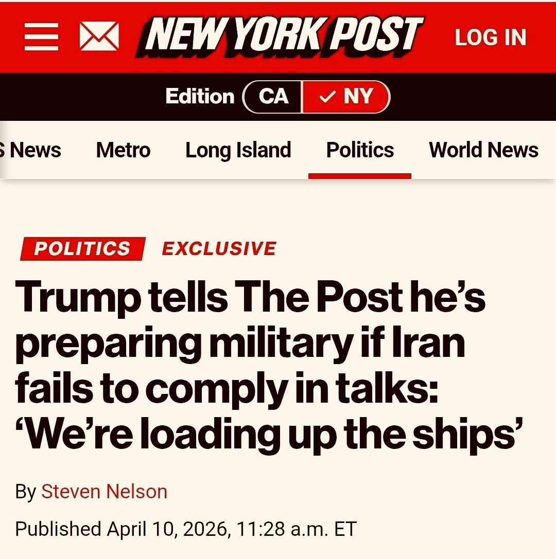 Safaa Subhi صفاء صبحي tweet media