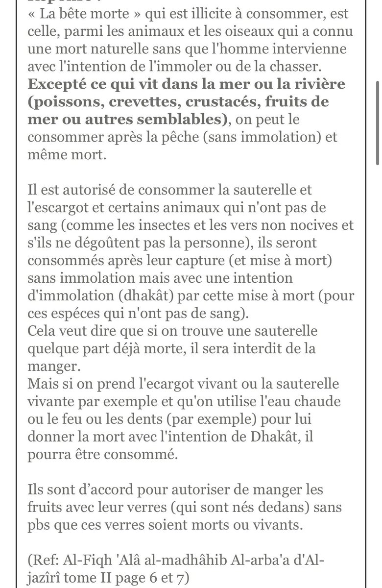 Ayoub🪵 tweet media