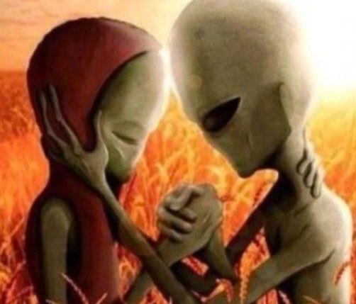 anne 🐺🚬 | ENHYPEN IS SEVEN tweet media