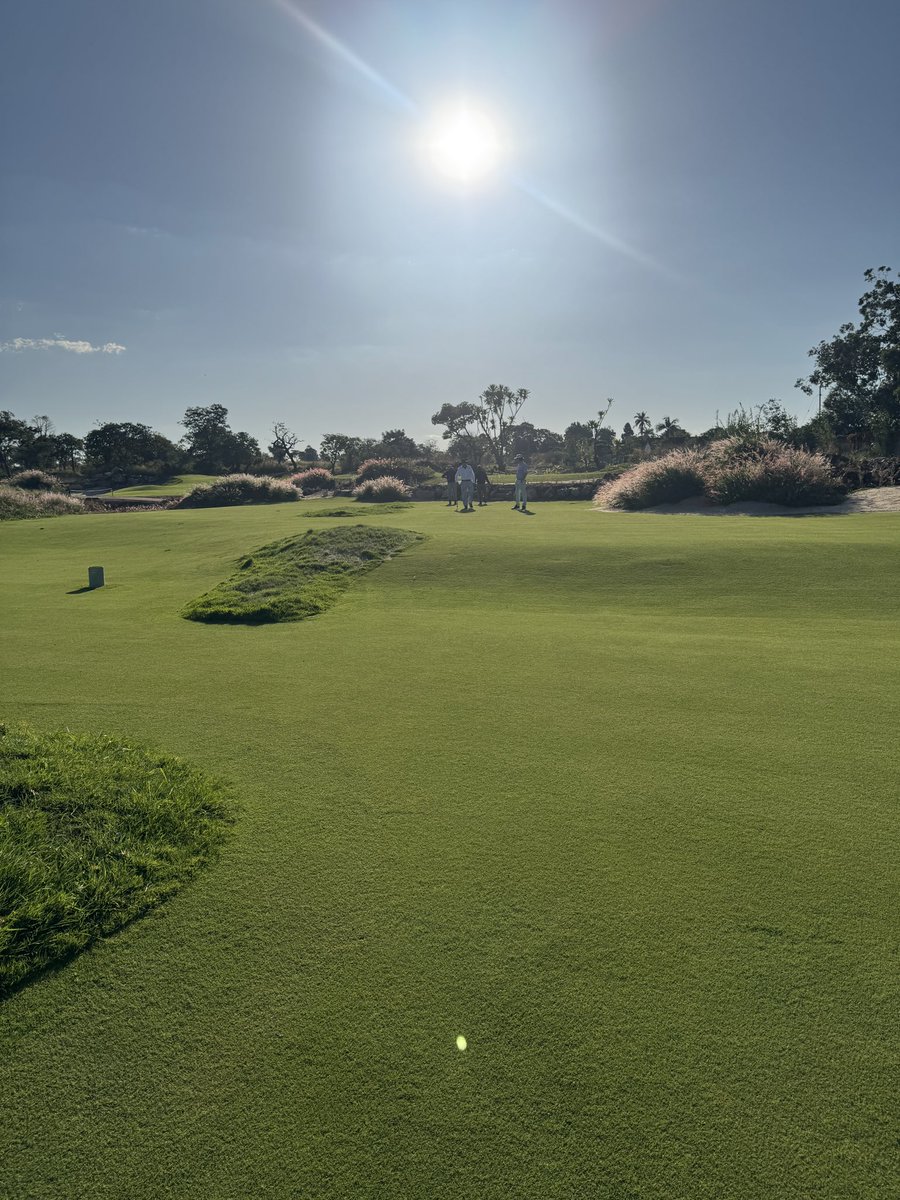 Ken Sharpe tweet media