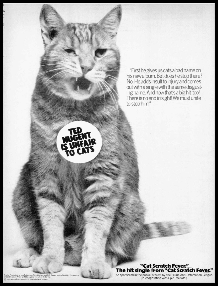 Mitch Lafon tweet media