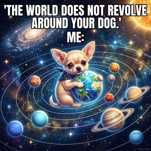 john bucholz tweet media