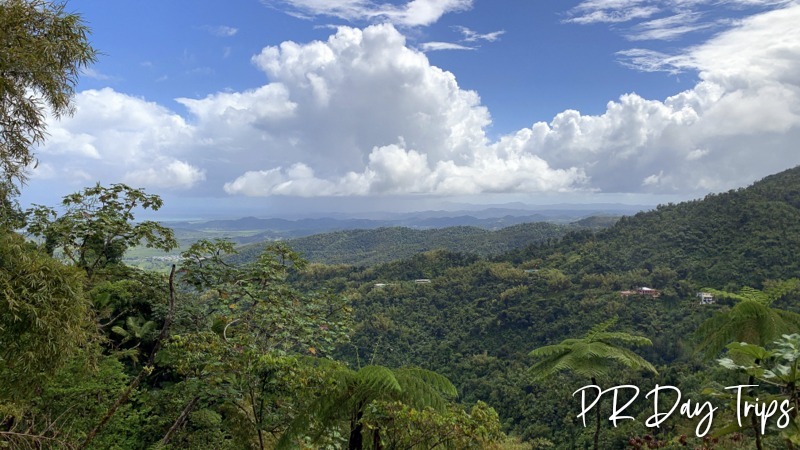 PRDayTrips's tweet image. ¿Cómo Estás #PuertoRico? - The South Side Of El Yunque (from 2021) #estaesmiisla