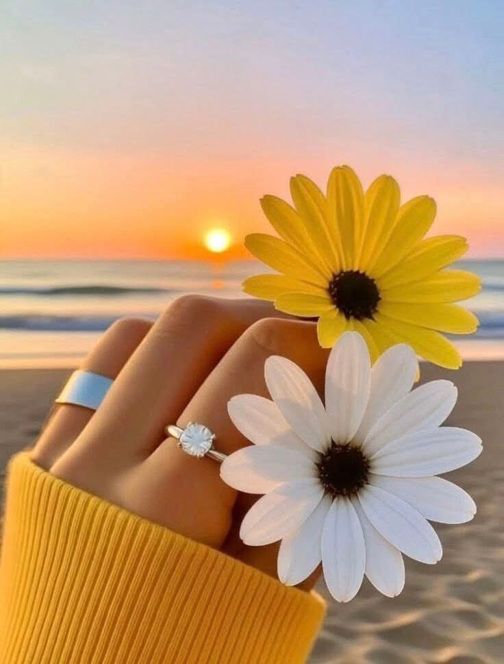 انعم آصف....(اینجل) tweet media