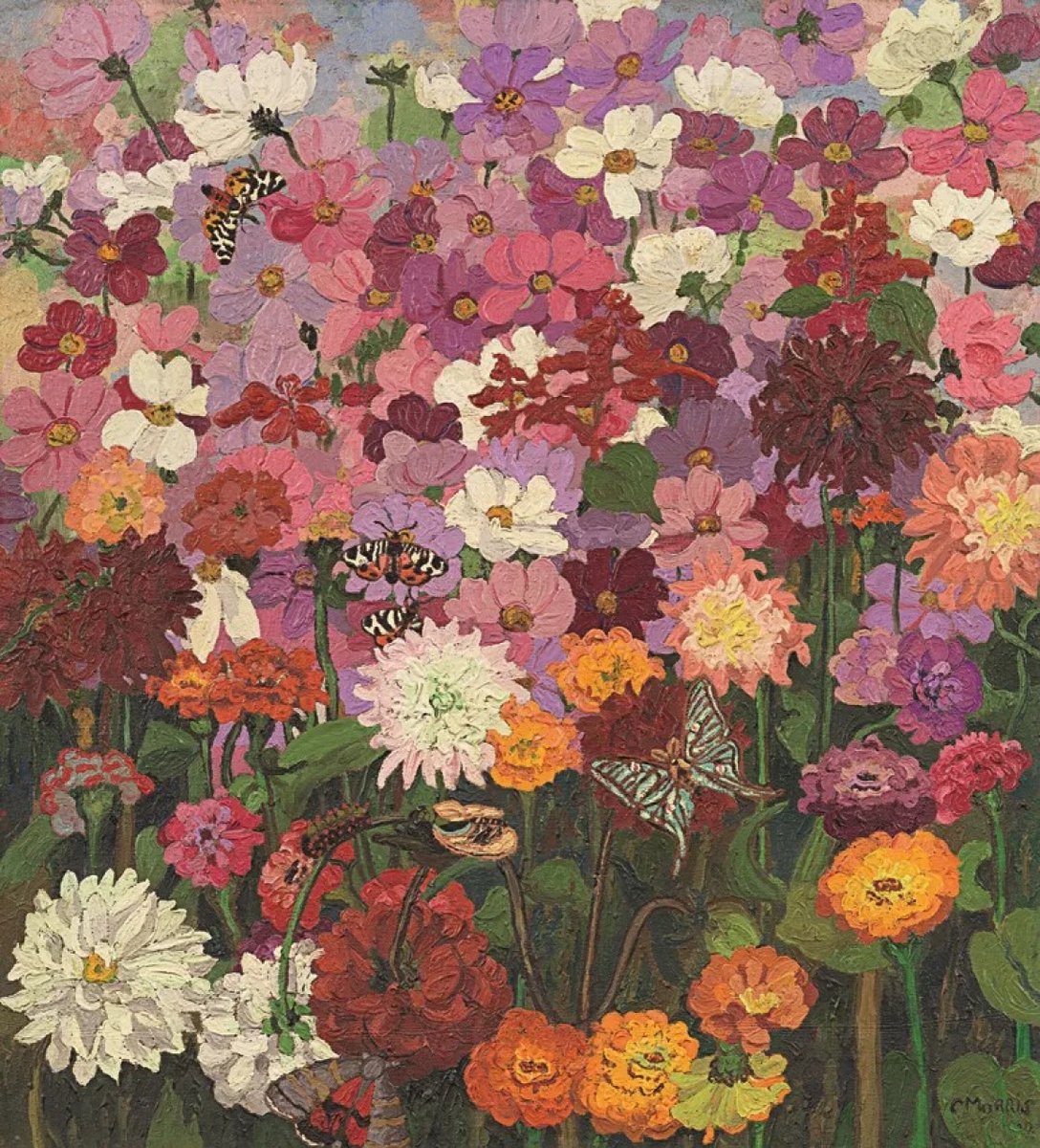 Jim Beattie tweet media