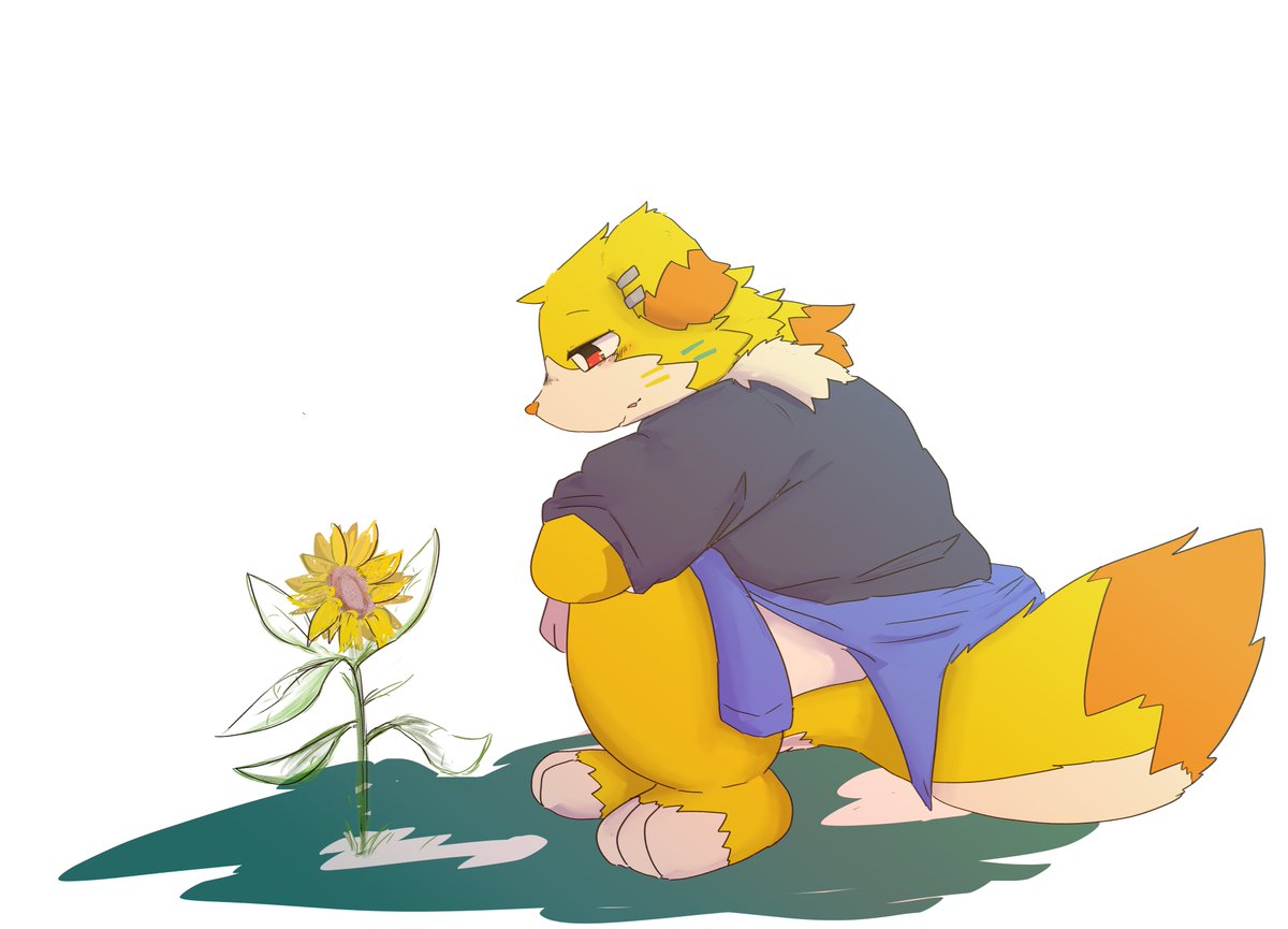 🐬ひののに🐧 tweet media