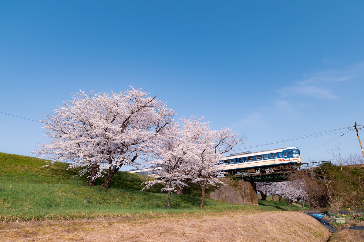 たまねぎ tweet media