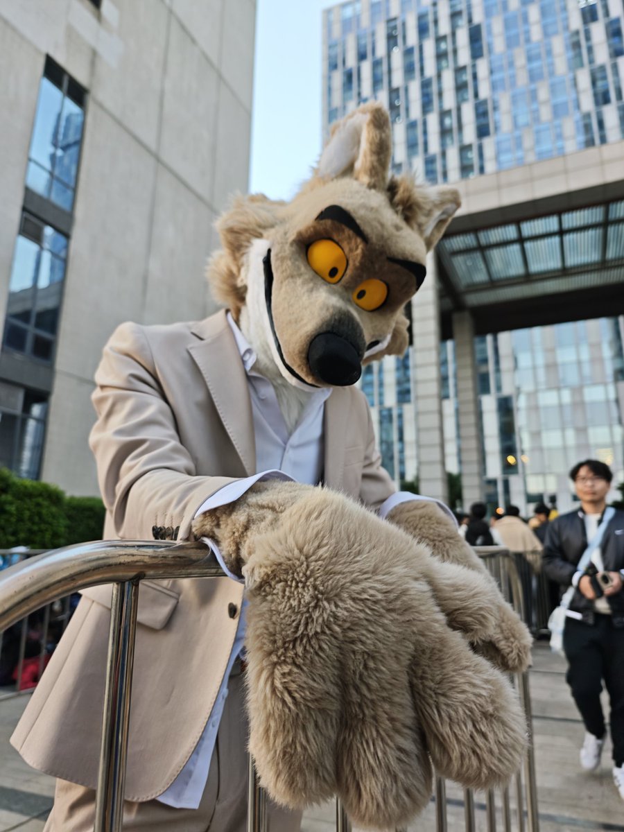 二阶代理Quadratic Proxy tweet media