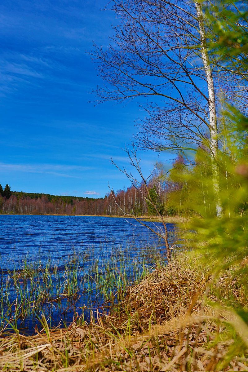Fühle mich wie in Finnland 🇫🇮 😊, ist aber fast vor der Haustür. Gibt schon tolle Ecken hier. Traumhaft.  #erzgebirge #saxony