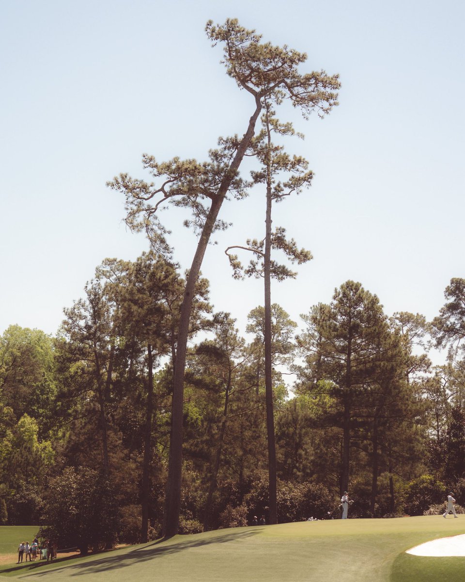 Golf Stuff tweet media