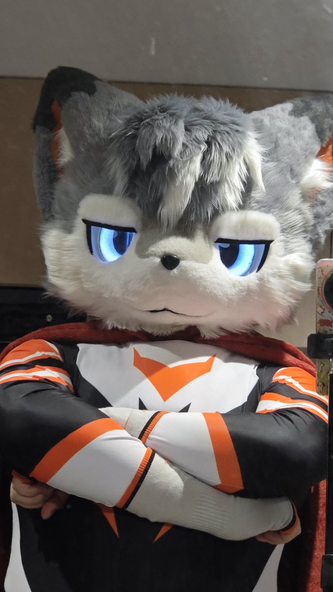 萨摩耶先生 tweet media