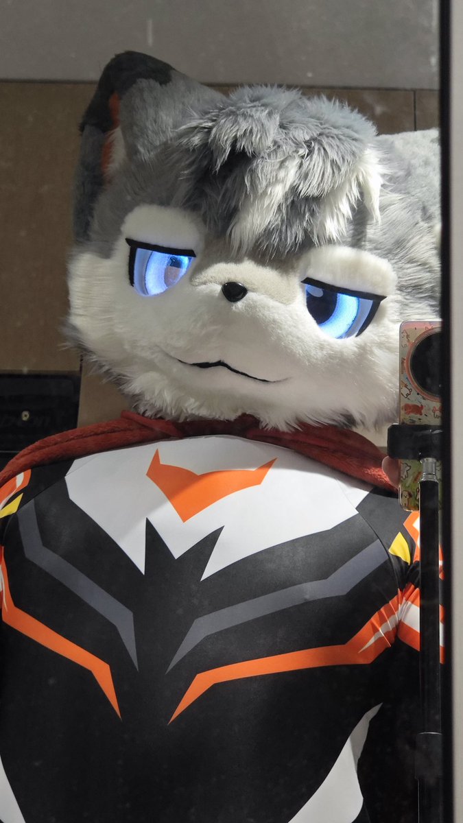 萨摩耶先生 tweet media