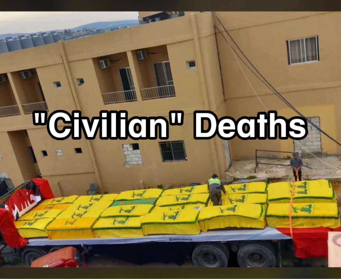 Caт Bee 🪶 tweet media