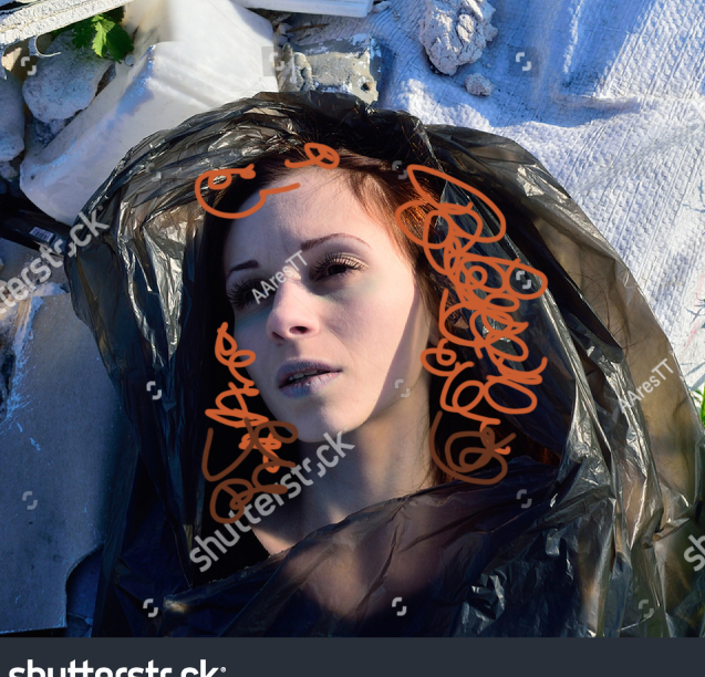 The Water Museum tweet media