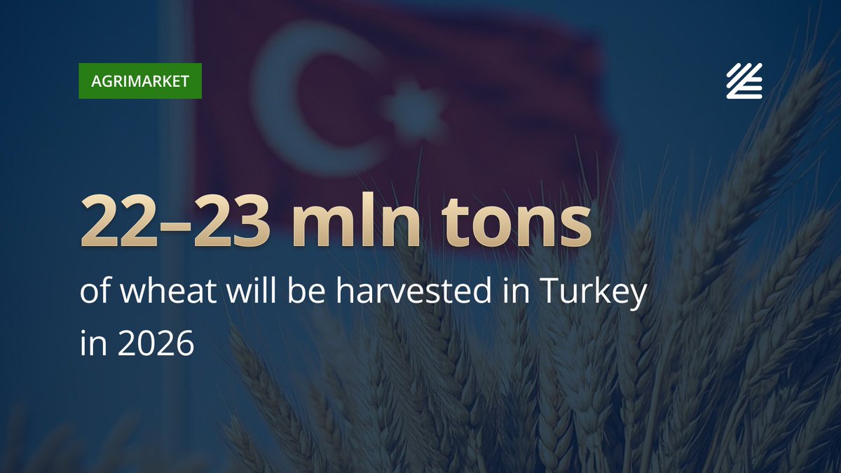 UkrAgroConsult's tweet image. 🇹🇷 #Turkey’s #wheat #harvest to grow, but sector faces challenges

Additional pressure comes from global factors such as low wheat prices, logistical disruptions, and the sector’s dependence on energy and fertilizer costs.

More details 👉ukragroconsult.com/?p=313174