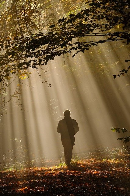 Eric Vivolo tweet media