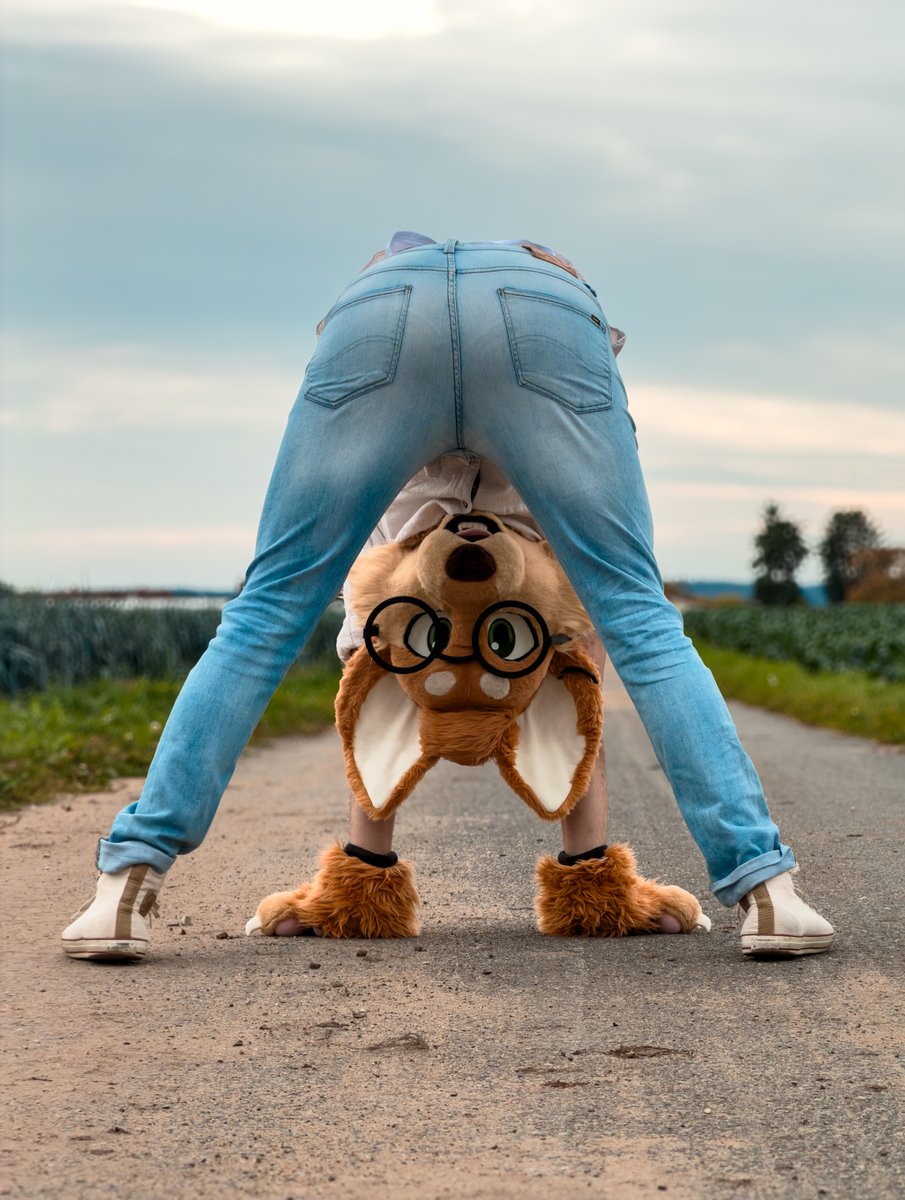 MaxFluffys's tweet image. friday dogcast on stream!! ❤️

ARFF COME!

twitch.tv/maxfluffy