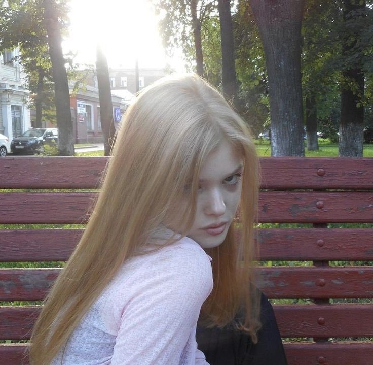 ㅅㅍㄹㄱ tweet media