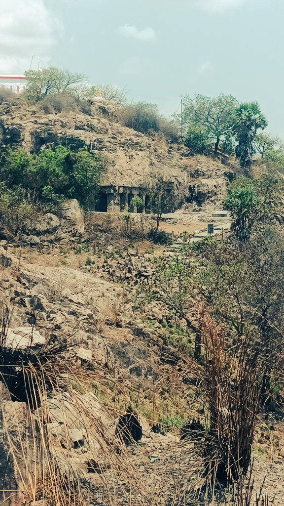 MadrasWalker's tweet photo. #walkerclicks https://t.co/t85vGgbsVX