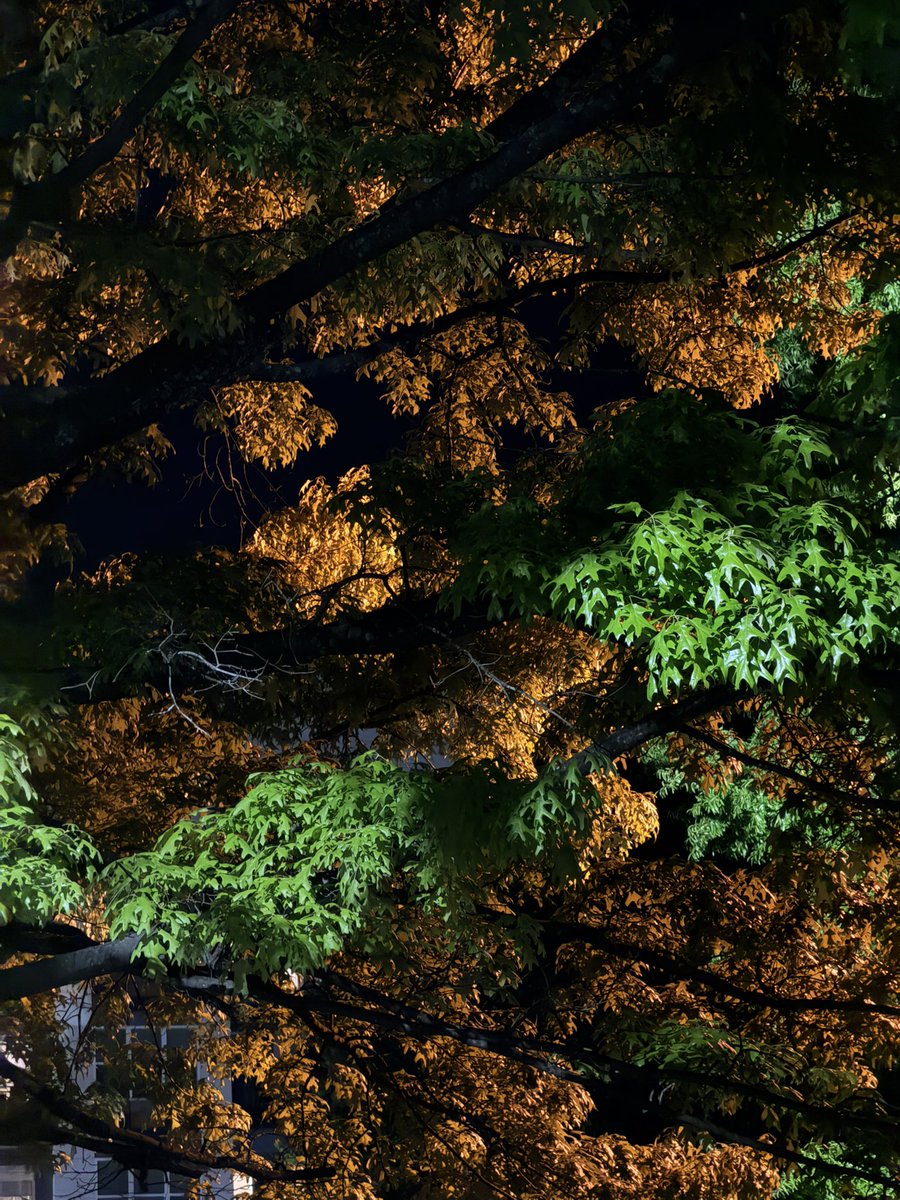 Ronny Khalil tweet media