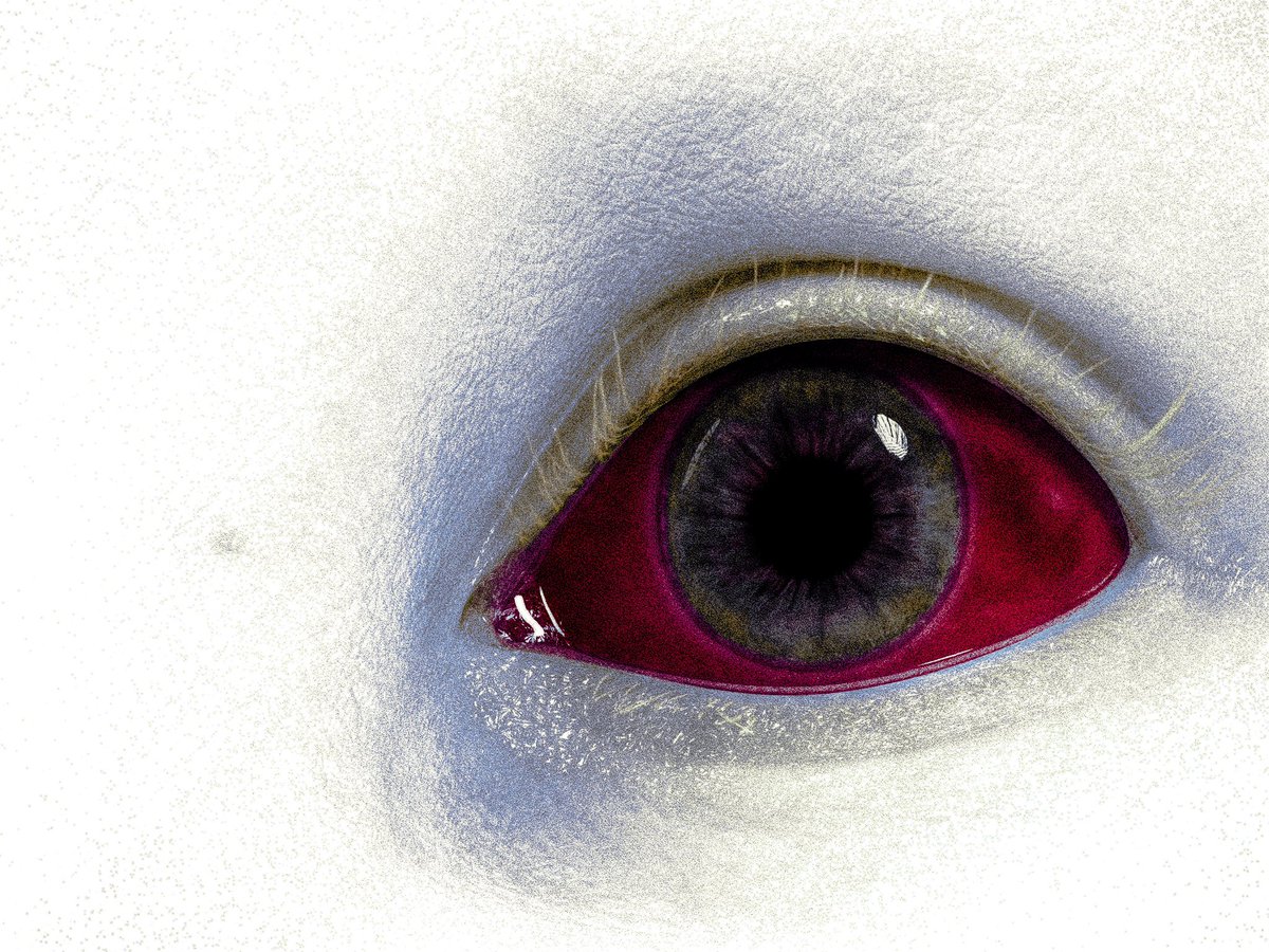 shejtano tweet media