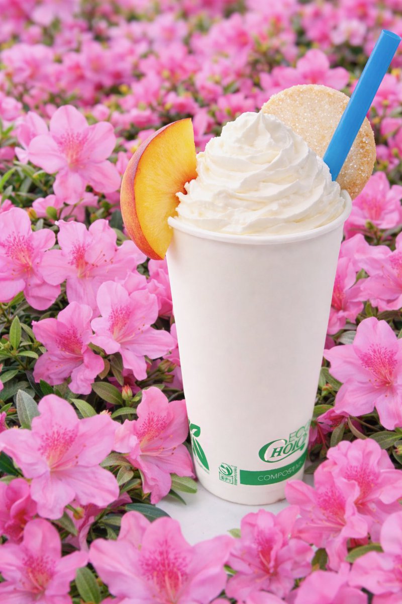 Mark Light Shake tweet media