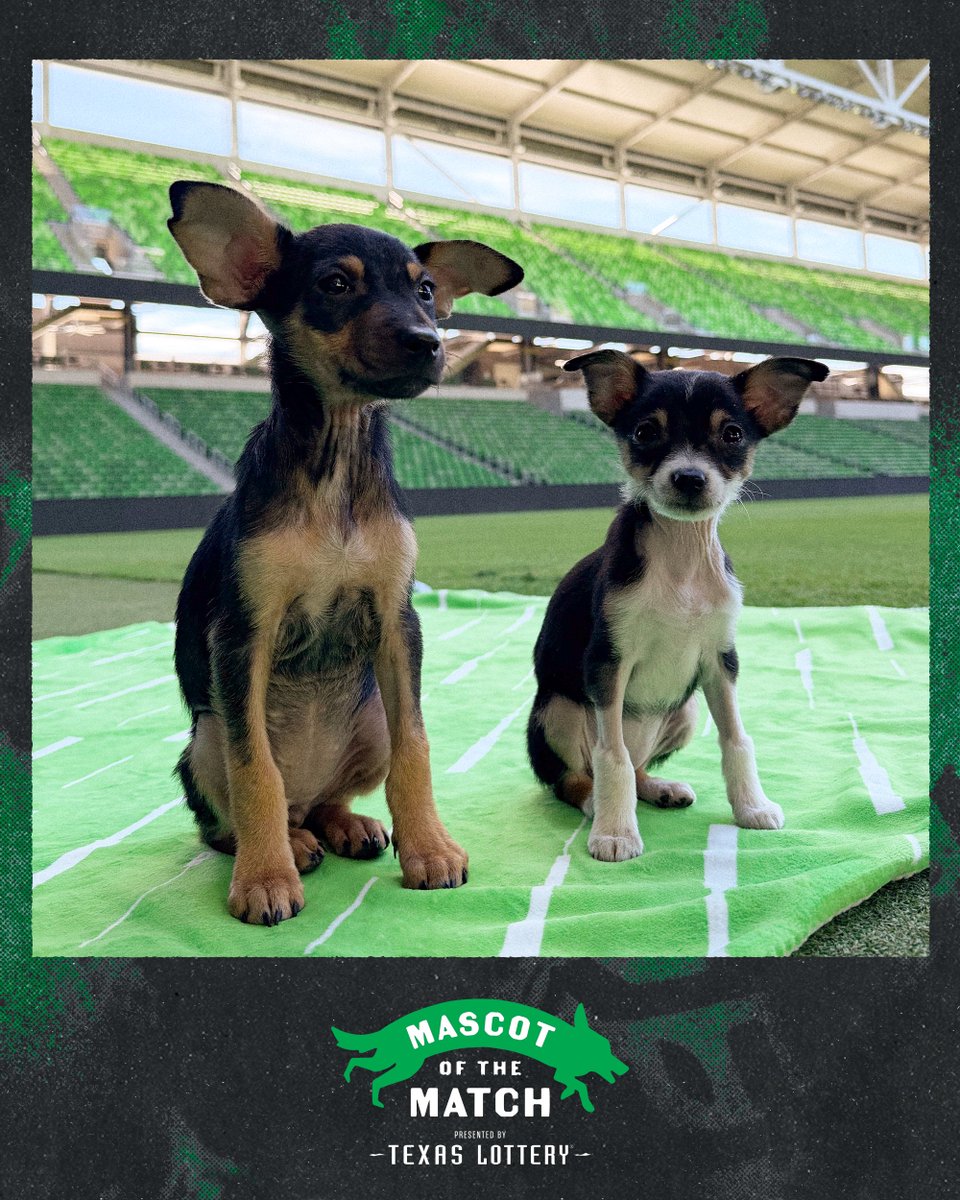 Austin FC tweet media