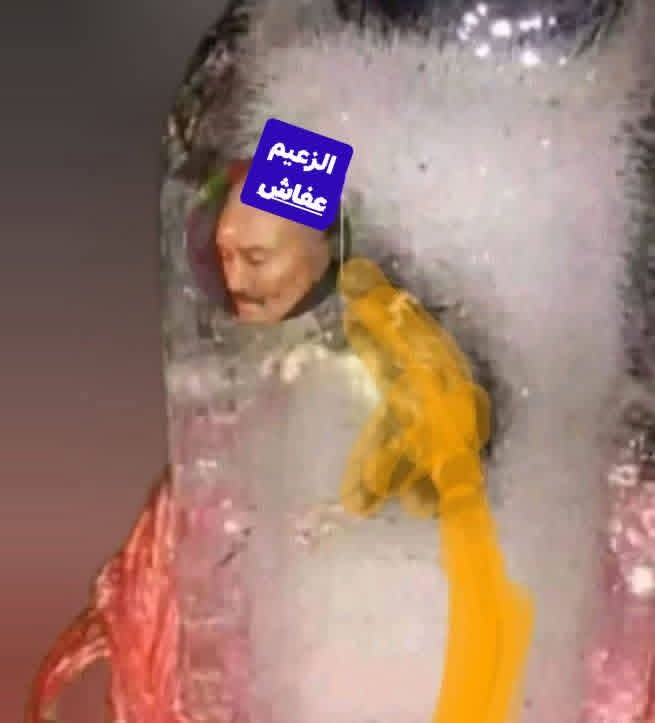 فكري عبدالسلام السلامي tweet media