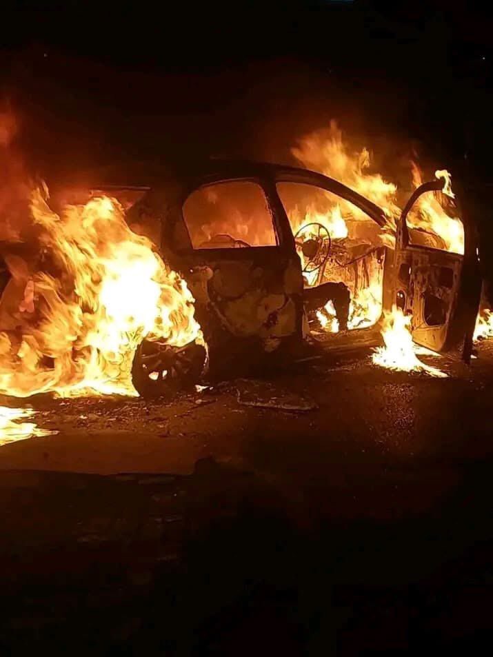 Dima Msuthu tweet media