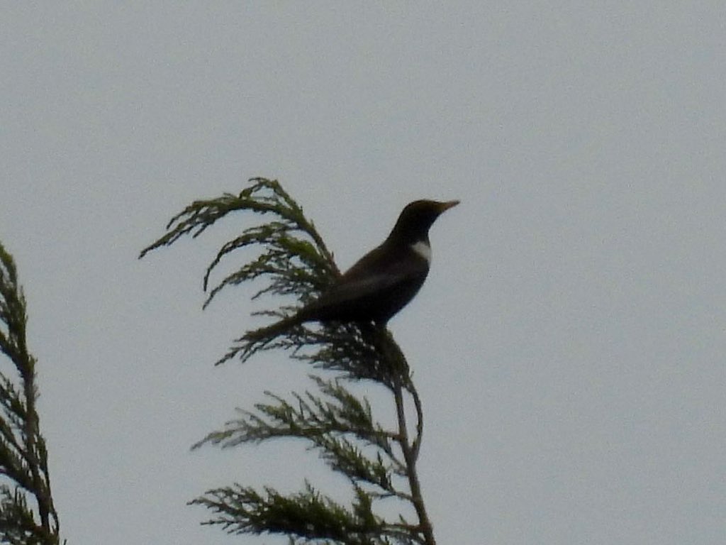 A few more of it 😁